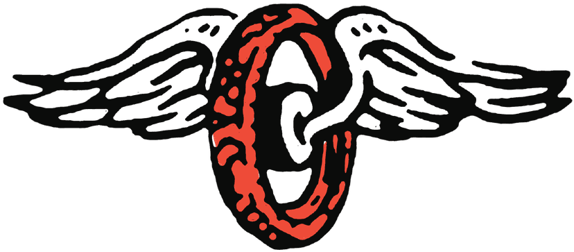 Chain with wings